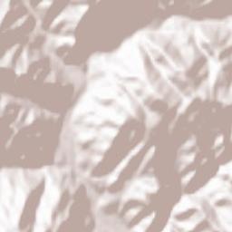 Oraş Nehoiu Terrain Map