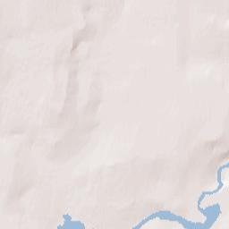 Rock Forest Terrain Map