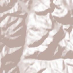 Dragoslavele Terrain Map