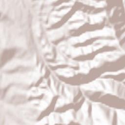 Vârciorova Terrain Map