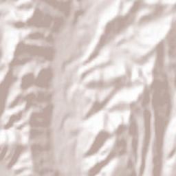 Zărneștii de Slănic Terrain Map