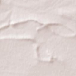 Gornostayevka Terrain Map