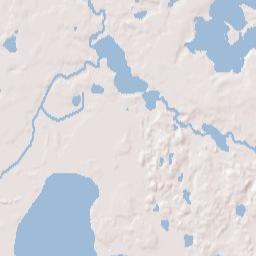 Forest Lake Terrain Map