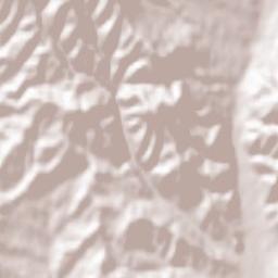 Comuna Mușătești Terrain Map