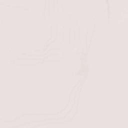 Napierville Terrain Map