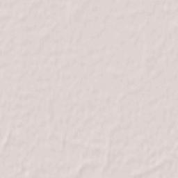 Megliadino San Vitale Terrain Map