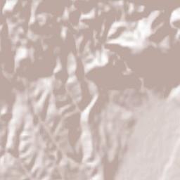 Comuna Schela Terrain Map