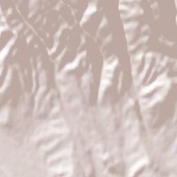 Comuna Vaideeni Terrain Map