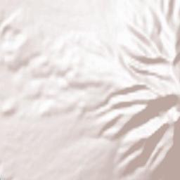 Rishiri Town Terrain Map