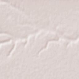 Beška Terrain Map