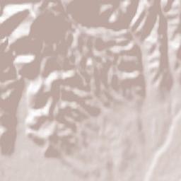 Valea Mare Terrain Map