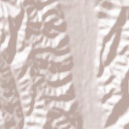 Vlădești Terrain Map