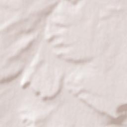 Rusakovka Terrain Map