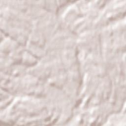 Bracebridge Terrain Map