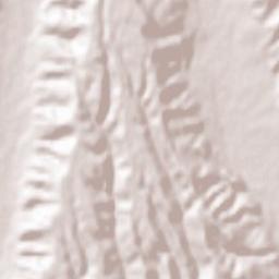 Jupânești Terrain Map