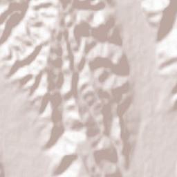 Petrești Terrain Map