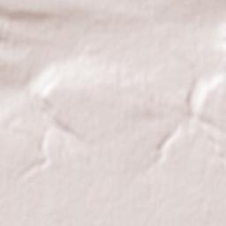 Gofitskoye Terrain Map