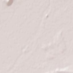 Băleşti Terrain Map