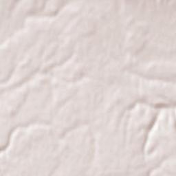 Scoarţa Terrain Map