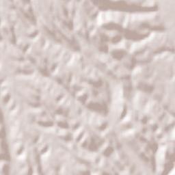 Cotmeana Terrain Map