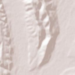 Băjești Terrain Map