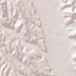 Căprioru Terrain Map