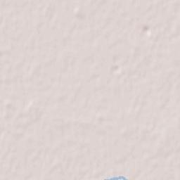 Reggiolo Terrain Map