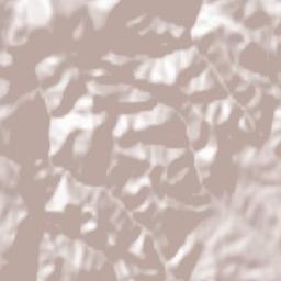 Lăpuşnicu Mare Terrain Map