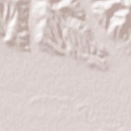 Săcueni Terrain Map