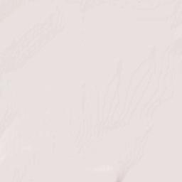 5 Cockburn Street, Perth, ON K7H 2A5 Terrain Map