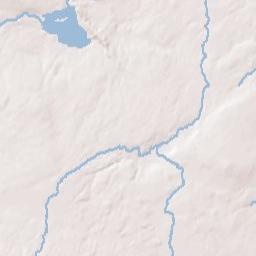 Forest New York Terrain Map