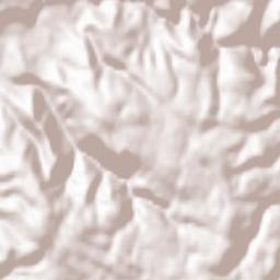 Sasca Montană Terrain Map