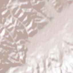 Comuna Lăpuşnicu Mare Terrain Map