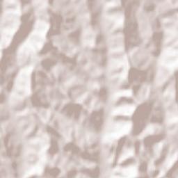 Comuna Pesceana Terrain Map