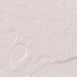 Dobanovci Terrain Map