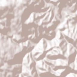 Comuna Şopotu Nou Terrain Map