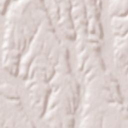 Făgeţelu Terrain Map