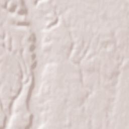 Picior de Munte Terrain Map