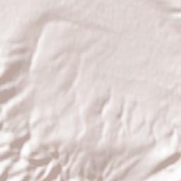 Rayevskaya Terrain Map
