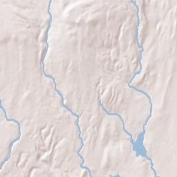 Beartown New York Terrain Map
