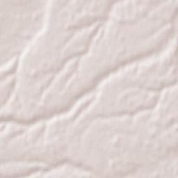 Bijeljina Terrain Map