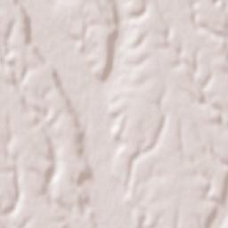 Bărăștii de Vede Terrain Map