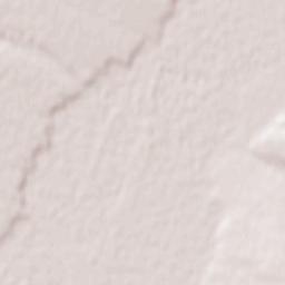 Praskoveya Terrain Map