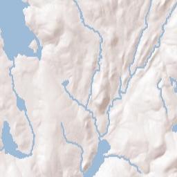 Dedham Terrain Map