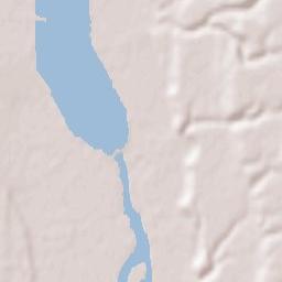Dumitrești Terrain Map