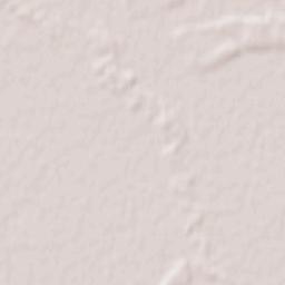 Braniştea Terrain Map