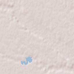 Comuna Negraşi Terrain Map