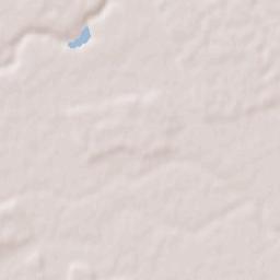 Dascălu Terrain Map