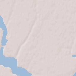 Gheorghe Doja Terrain Map