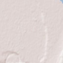 Maykop Republican Urban Okrug Terrain Map